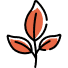 /images/leaf.png